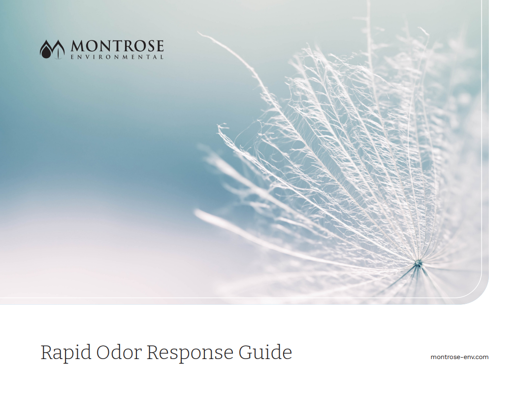 RapidOdorResponseGuide